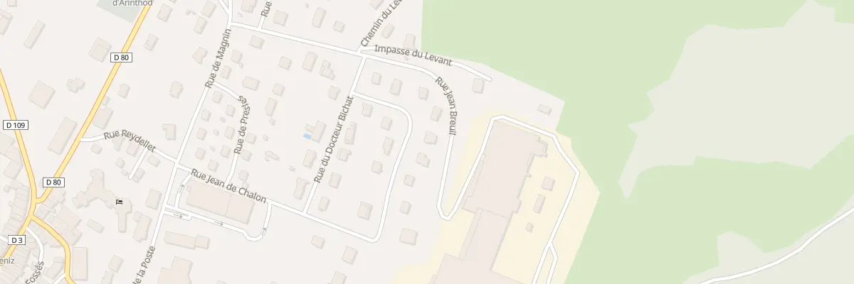 Plan du 20 Rue Jean de Chalon à Arinthod