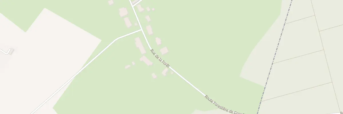 Plan du 30 Rue de la Forêt à Rochefort-sur-Nenon