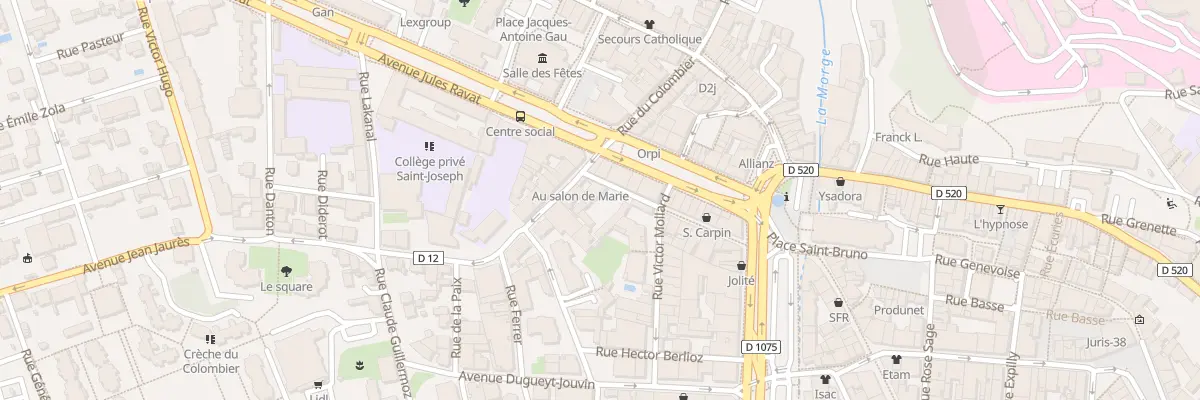 Plan du 21 Rue Lazare Carnot à Voiron