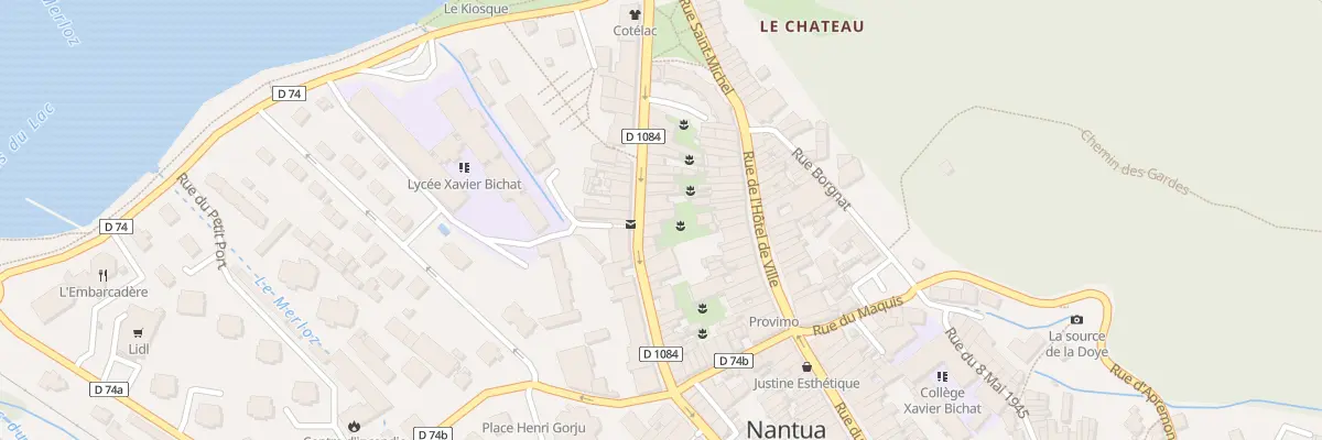 Plan du 23 Rue Docteur Mercier à Nantua