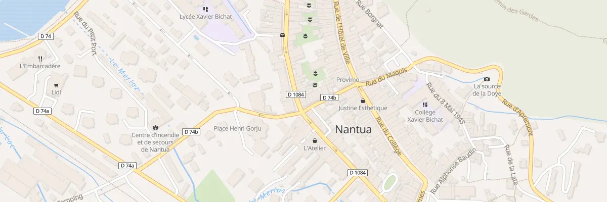 Plan du 51 Rue Docteur Mercier à Nantua