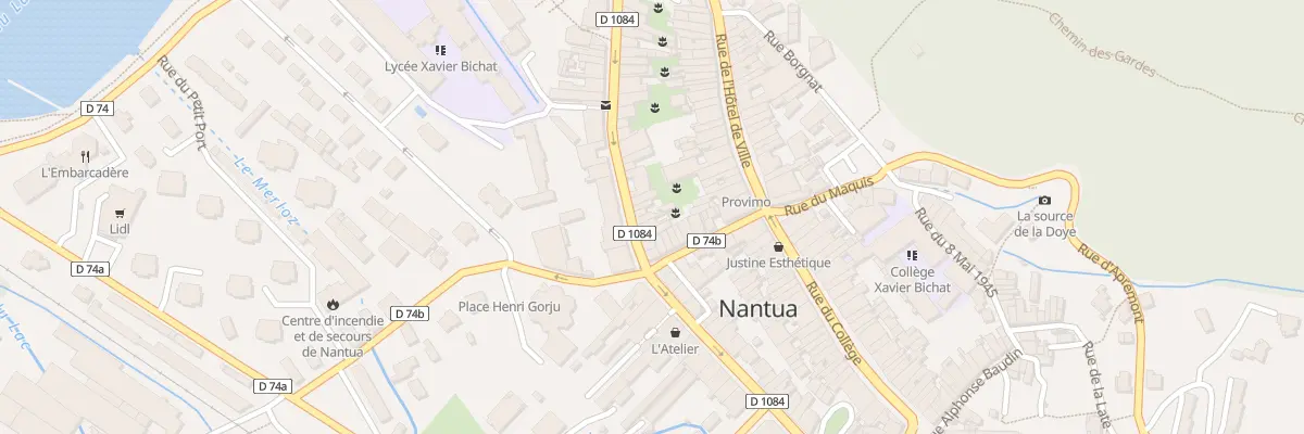 Plan du 45 Rue Docteur Mercier à Nantua