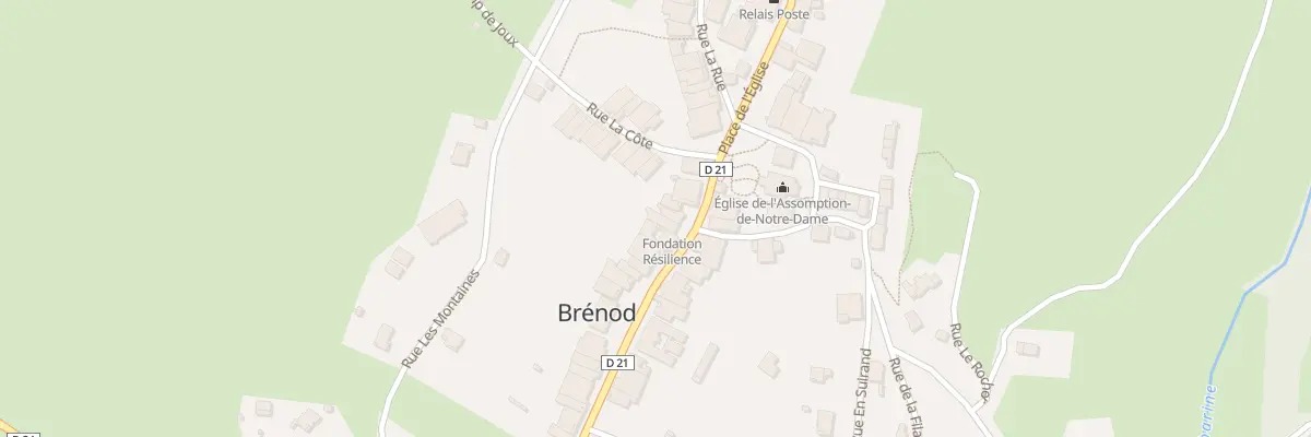 Plan du 50 Rue Principale à Brénod