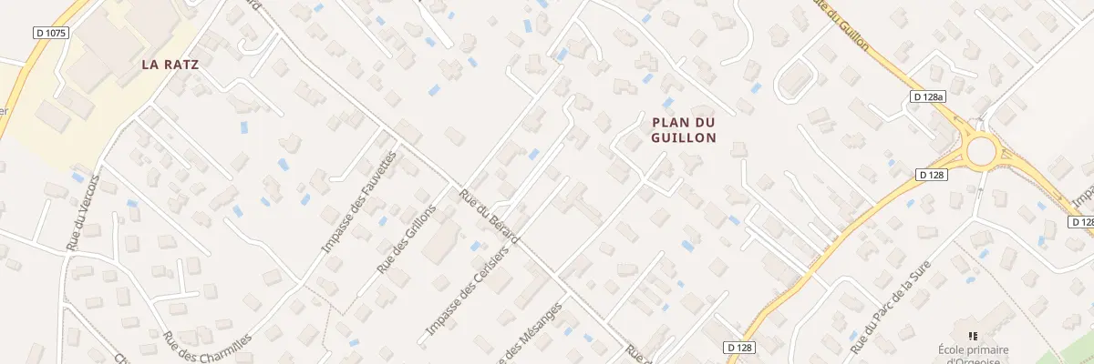 Plan du 250 Rue du Bérard à Coublevie