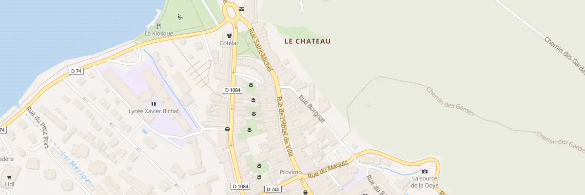 Plan du 6 Rue Borgnat à Nantua