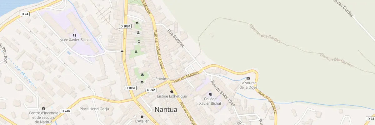 Plan du 36 Rue Borgnat à Nantua