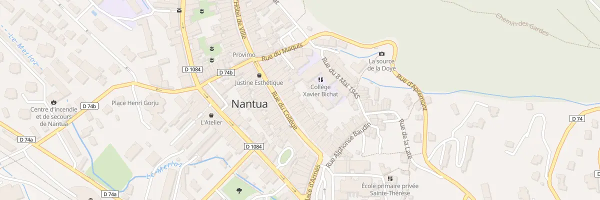 Plan du 21 Rue du College à Nantua