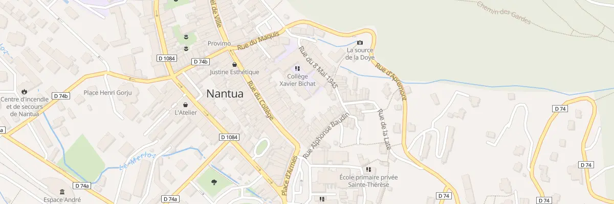 Plan du 33 Rue du College à Nantua