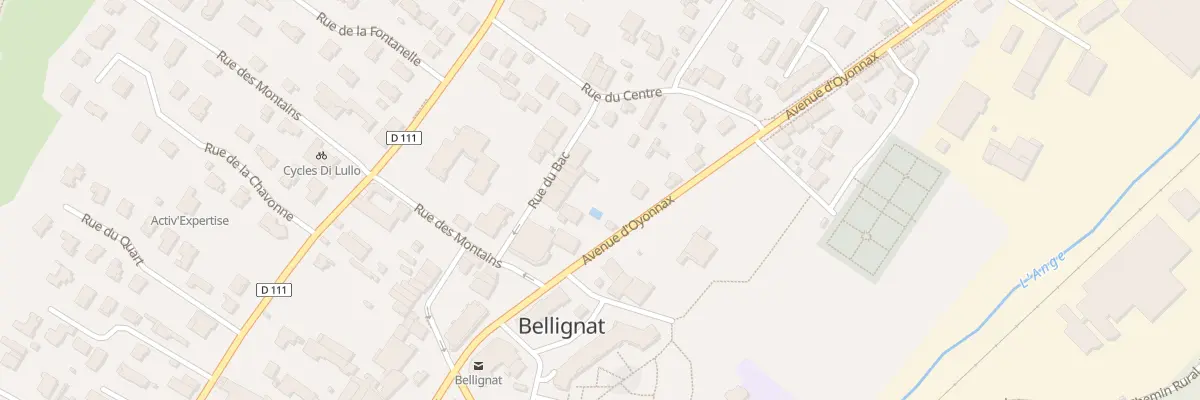 Plan du 10 Rue du Bac à Bellignat
