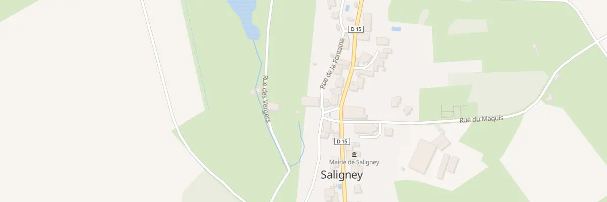 Plan du 1 Rue de la Fontaine à Saligney