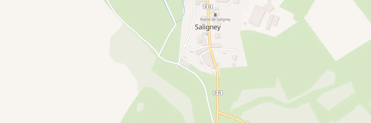 Plan du 10 Rue de la Fontaine à Saligney