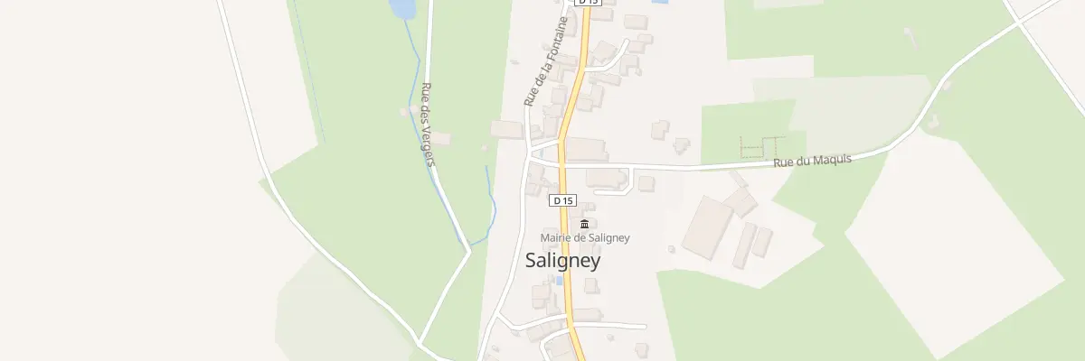Plan du 12 Rue Principale à Saligney