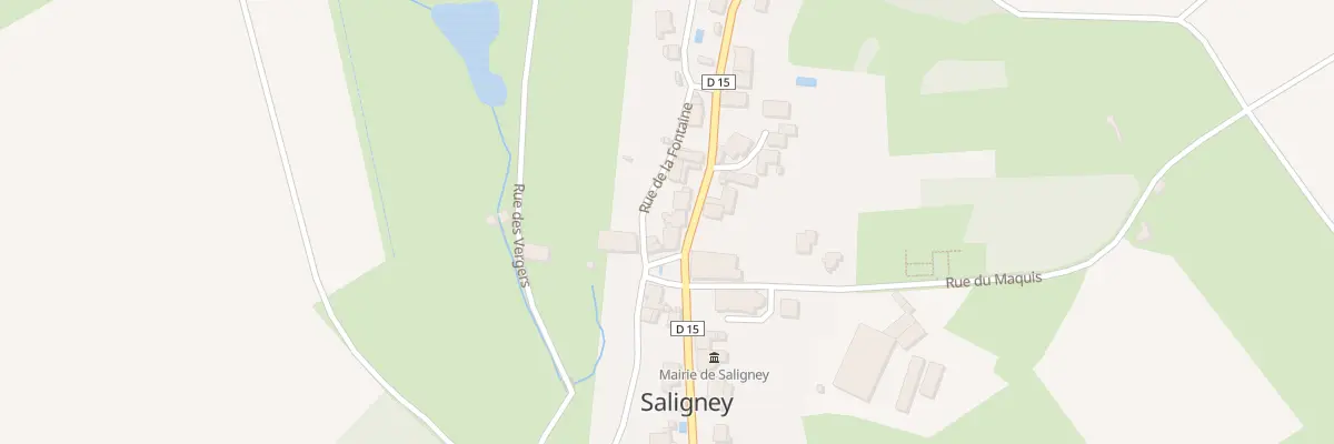 Plan du 16 Rue Principale à Saligney