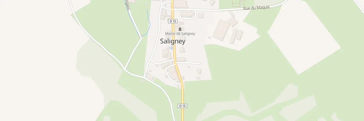 Plan du 5056 Rue Principale à Saligney