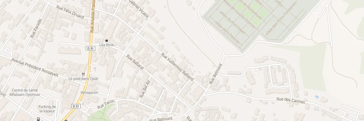 Plan du 31 Rue Vuillermoz Balland à Oyonnax
