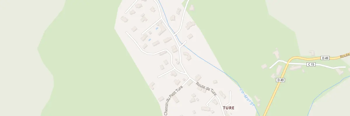 Plan du 361 Rte de Ture à Saint-Aupre