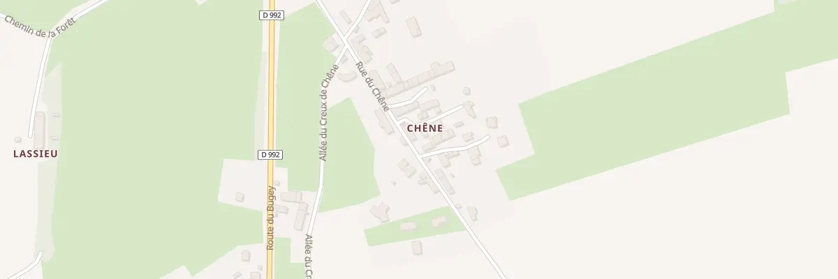 Plan du 293 Rue du Chene à Peyrieu