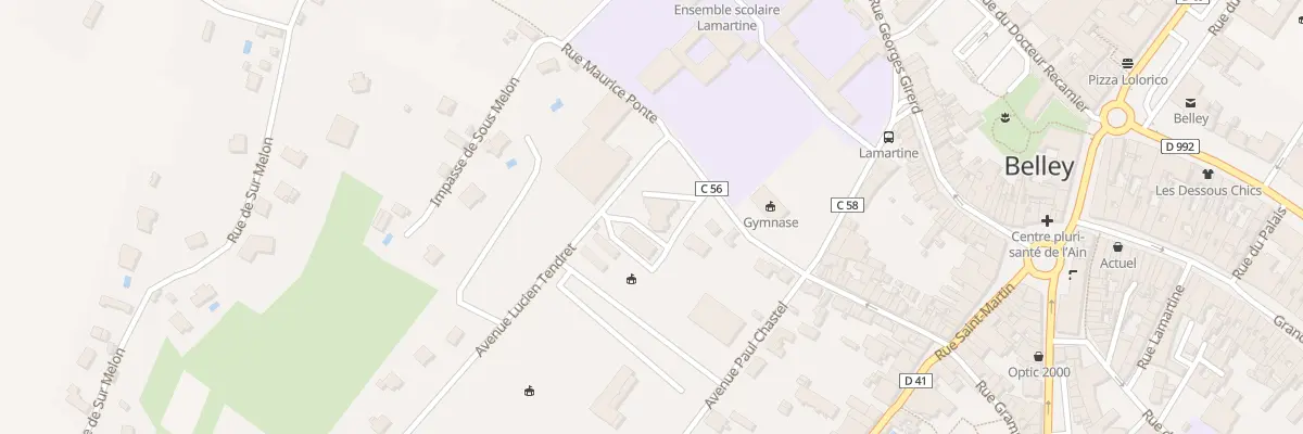 Plan du 46 Rue Ozereau à Belley