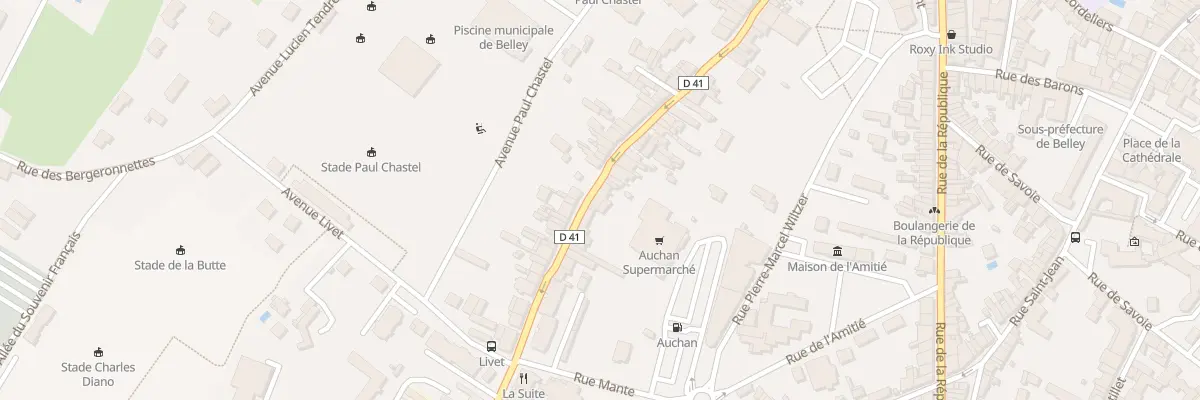 Plan du 105 Rue Saint Martin à Belley