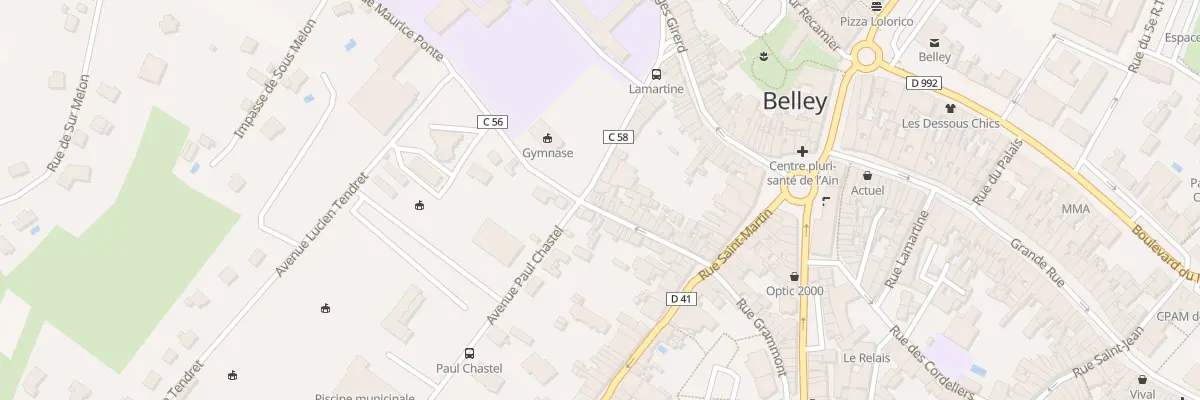 Plan du 37 Rue Ozereau à Belley