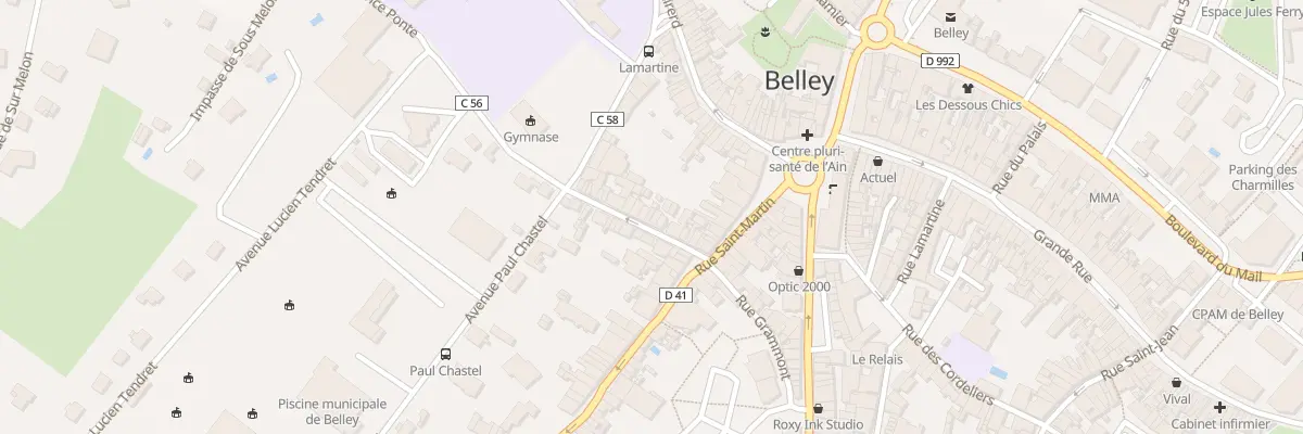 Plan du 19 Rue Ozereau à Belley