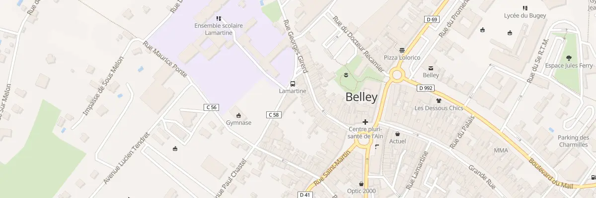 Plan du 29 Rue Georges Girerd à Belley