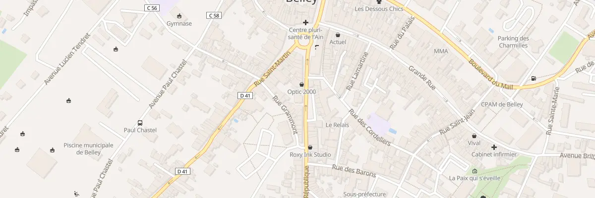 Plan du 22 Rue de la République à Belley