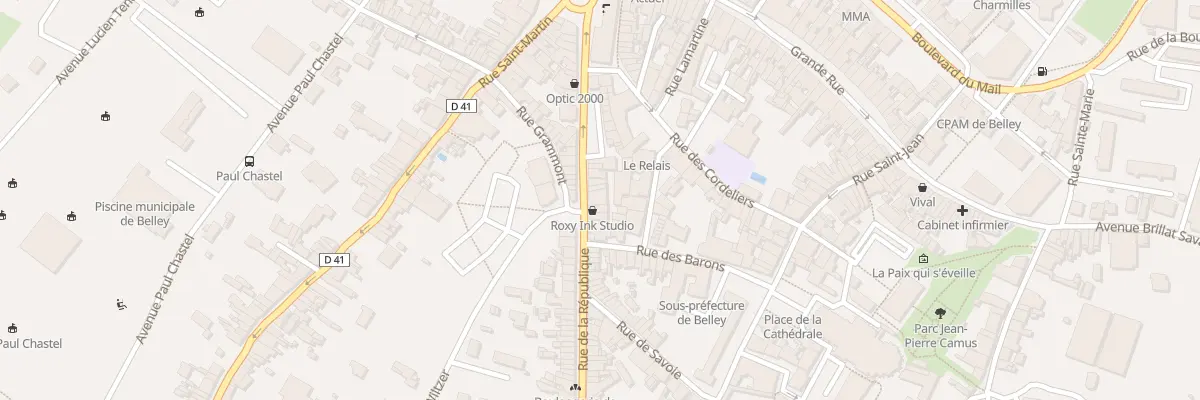 Plan du 29 Rue de la République à Belley
