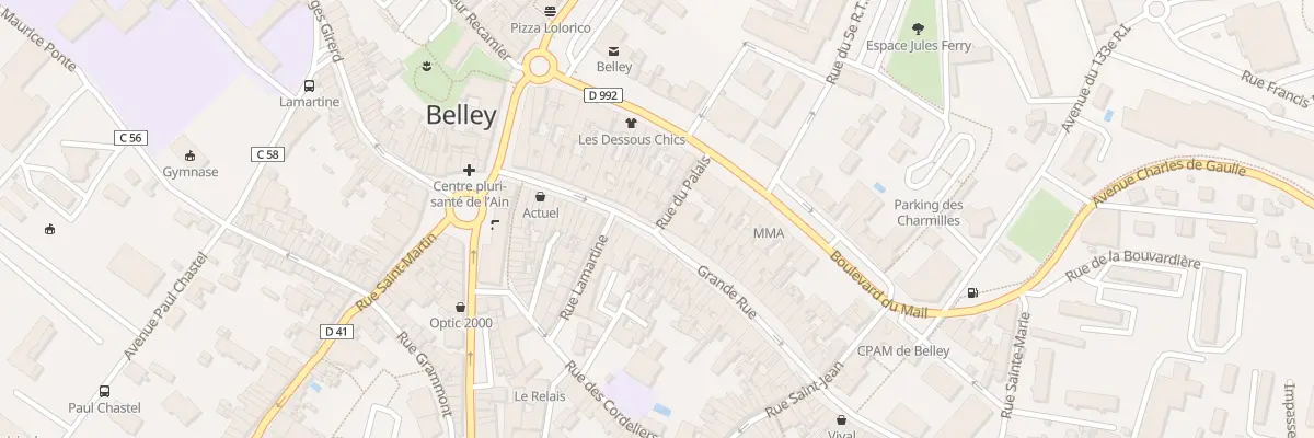 Plan du 1 Rue du Palais à Belley