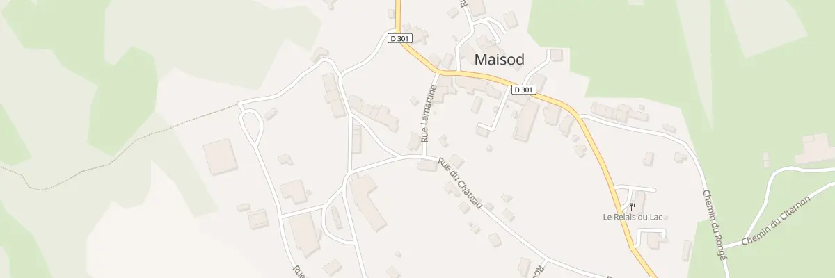 Plan du 350 Rue du Château à Maisod