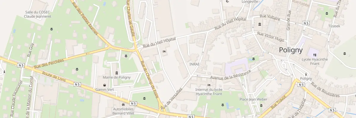 Plan du 55 Rue du Vieil Hôpital à Poligny