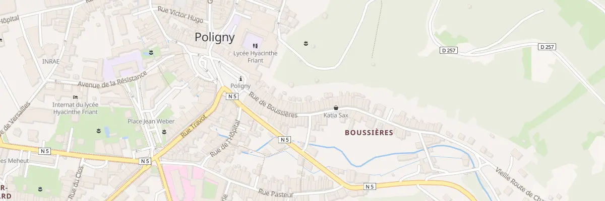 Plan du 29 Rue de Boussières à Poligny