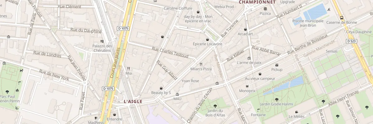 Plan du 3 Rue Charles Testoud à Grenoble