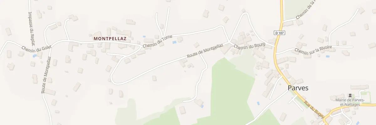 Plan du 335 Rte de Montpellaz à Parves et Nattages