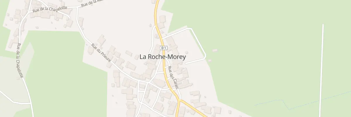 Plan du 14 Rue des Canes à La Roche-Morey
