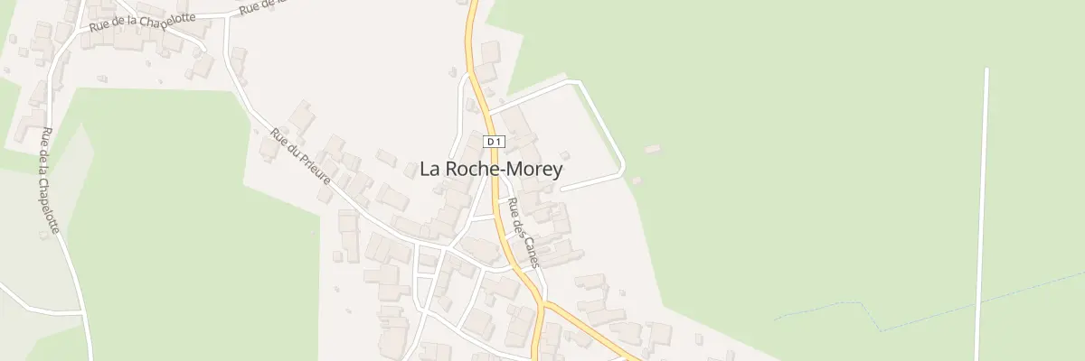 Plan du 12 Rue des Canes à La Roche-Morey