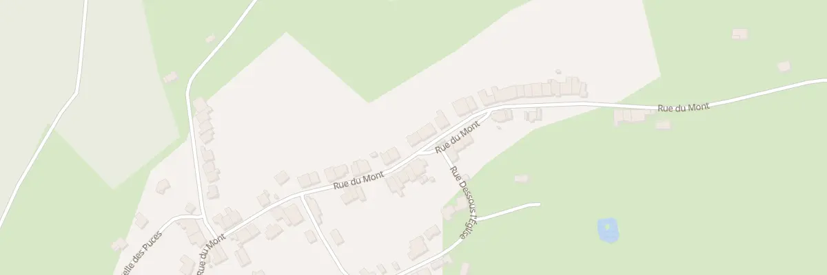 Plan du 39 Rue du Mont à Serqueux