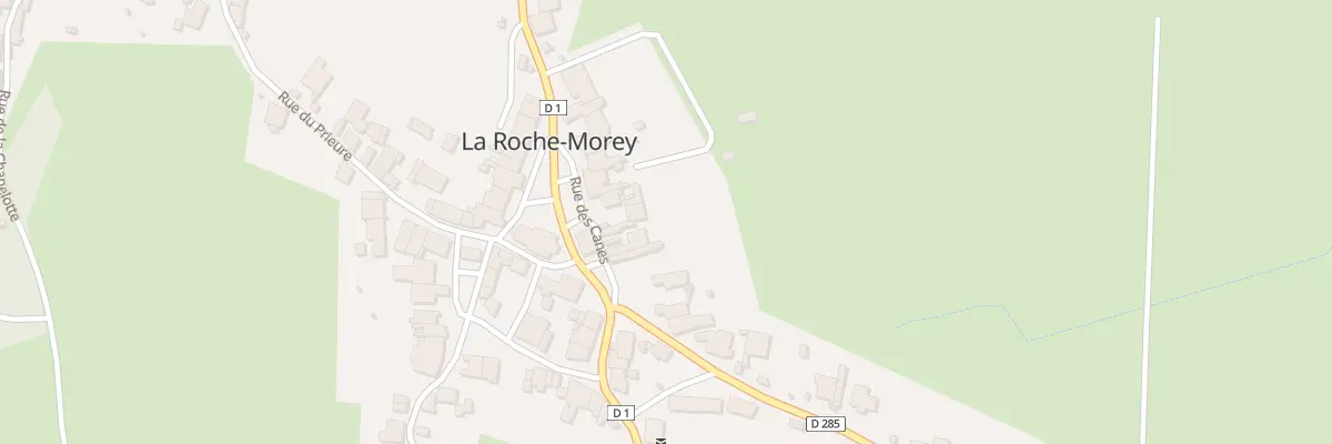 Plan du 6 Rue des Canes à La Roche-Morey