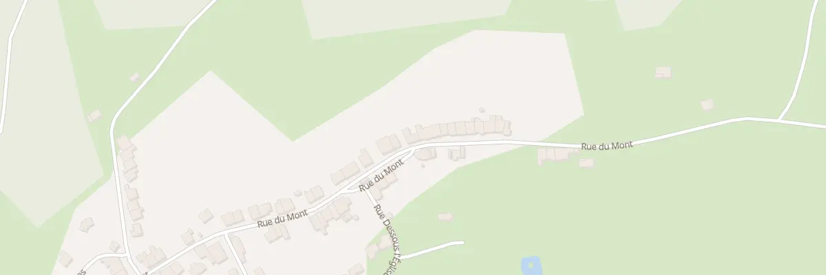 Plan du 47 Rue du Mont à Serqueux