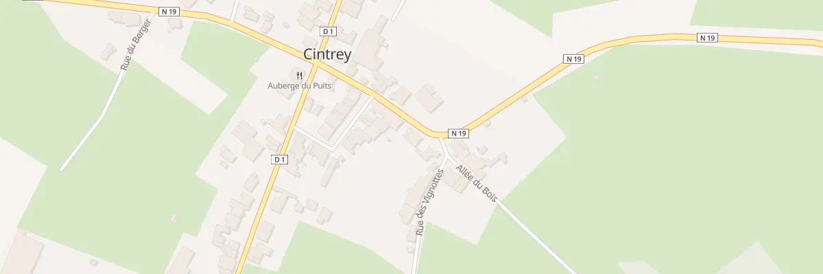 Plan du 14 Rue du Professeur A. Desgrey à Cintrey