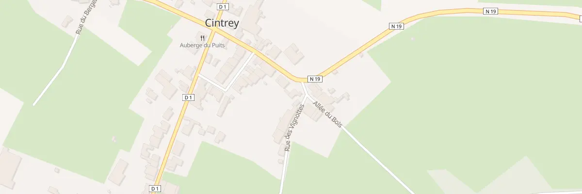 Plan du 16 Rue du Professeur A. Desgrey à Cintrey