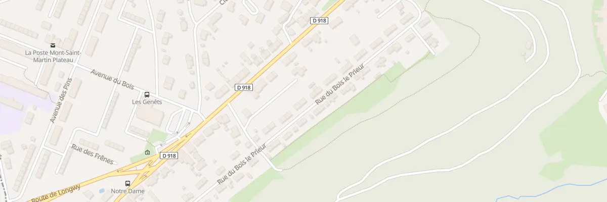 Plan du 45 Rue du Bois le Prieur à Mont-Saint-Martin