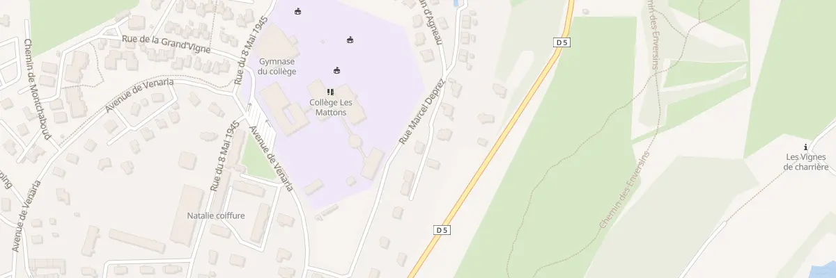 Plan du 342 Rue Marcel Deprez à Vizille