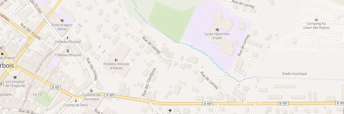 Plan du 25 Rue de Larney à Arbois