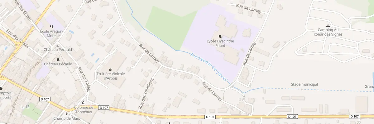 Plan du 29 Rue de Larney à Arbois