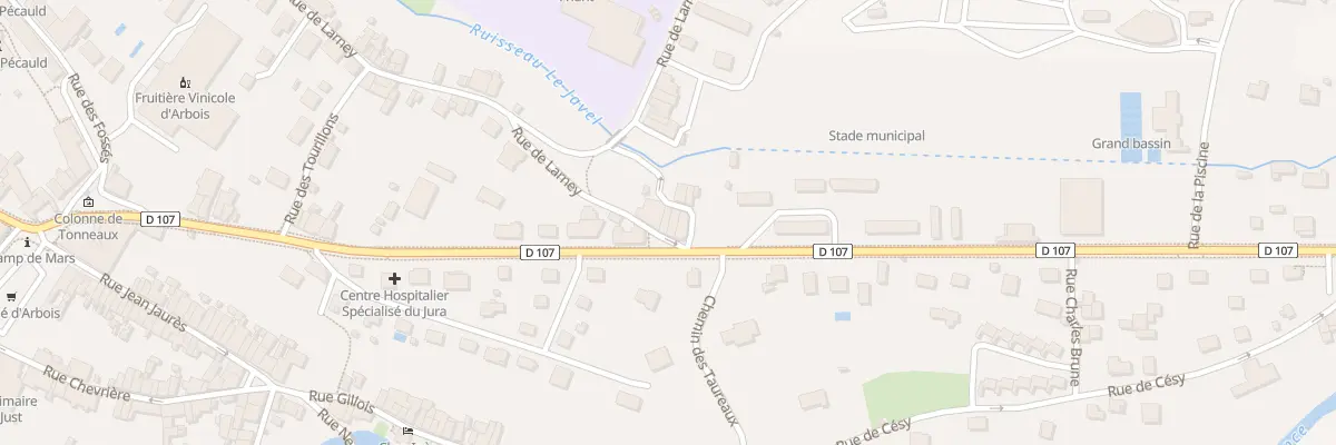 Plan du 39 Rue de Larney à Arbois