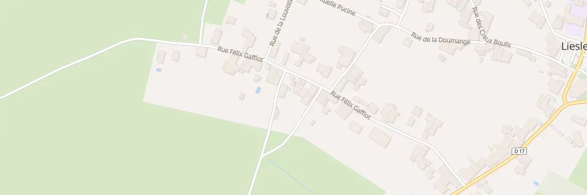 Plan du 25 Rue Félix Gaffiot à Liesle