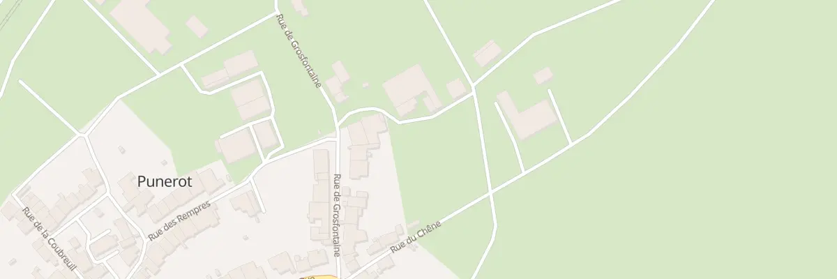 Plan du 10 Rue de Gros Fontaine à Punerot