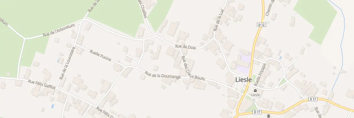 Plan du 19 Rue des Creux Boulis à Liesle