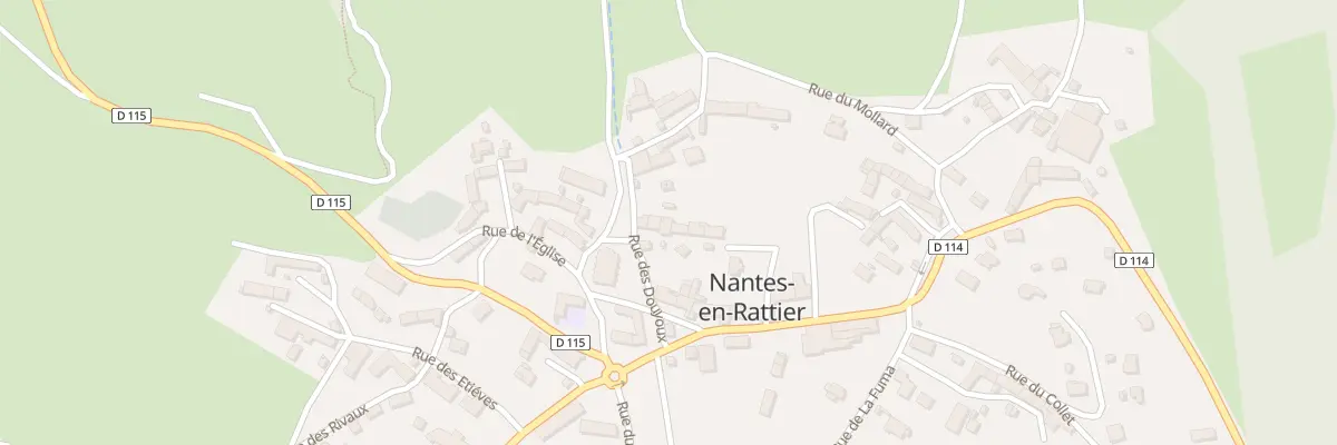 Plan du 90 Rue des Douyoux à Nantes-en-Ratier
